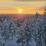 Draft Reindeer For Comfortable Daire Rovaniemi