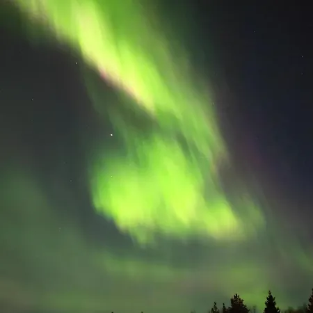 Draft Reindeer For Comfortable Appartamento *