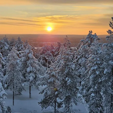 Draft Reindeer For Comfortable Appartamento Rovaniemi