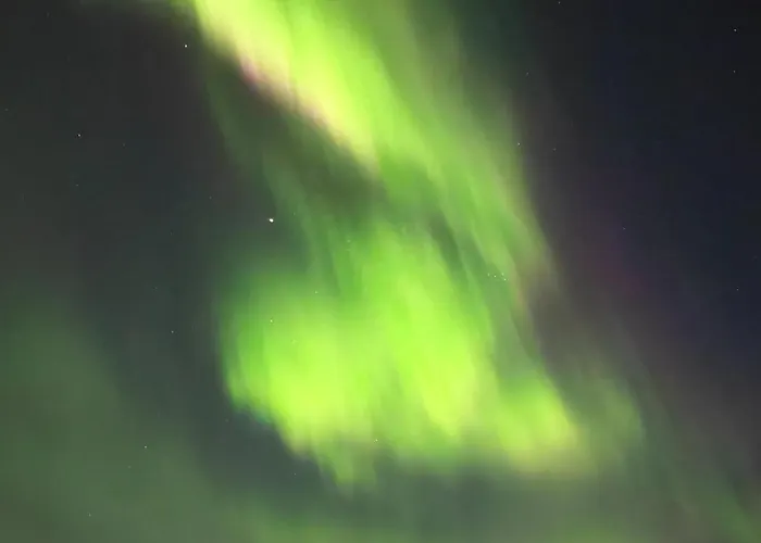 Draft Reindeer For Comfortable 公寓 *