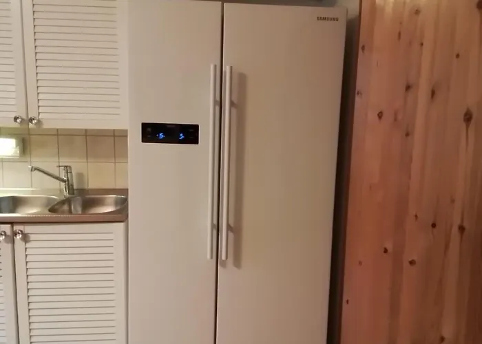 Draft Reindeer For Comfortable